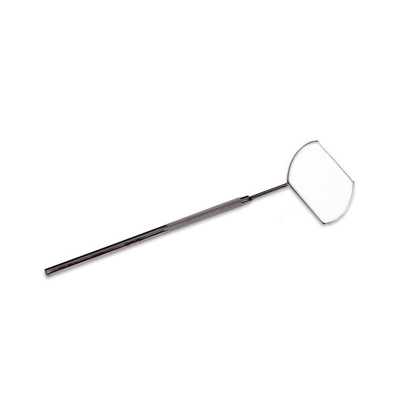 Oglinda Extensii Gene Antonella